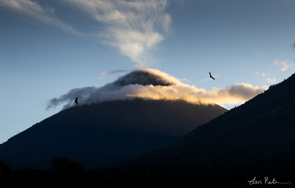 Vultures over the Volcano