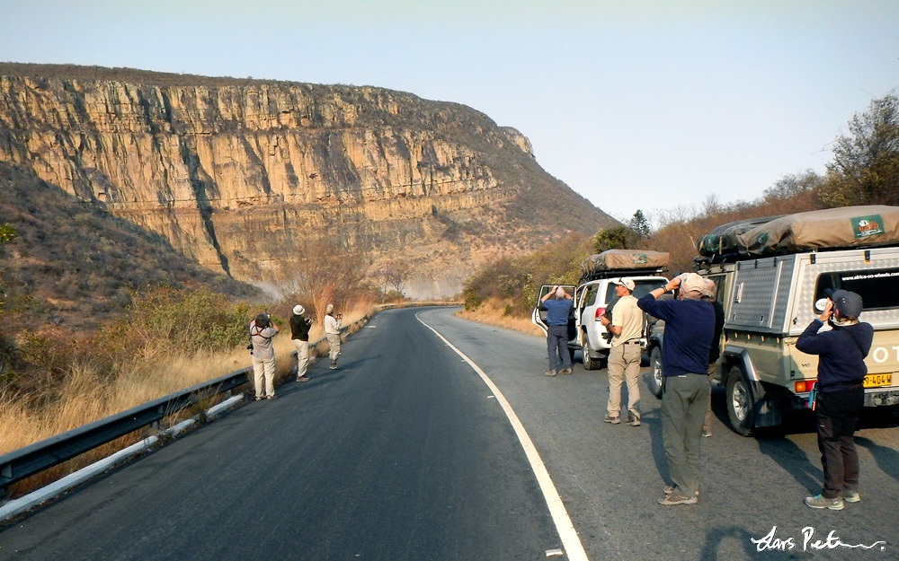 Birding stop at Leba Escarpment